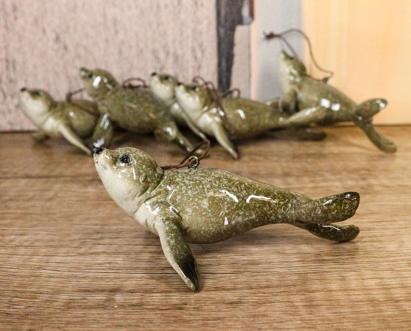 Set Of 6 Nautical Sea Grey Seals Ocean Marine Wall Decor Tree Ornaments