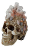 Marine Sea Explorer The Great Barrier Coral Reef Shells And Rocks Skull Figurine