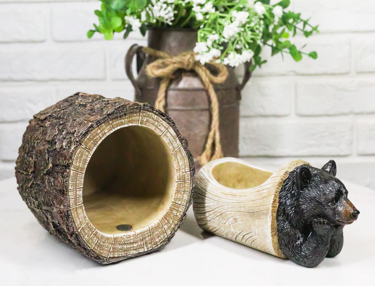 Daydreaming Black Bear in Tree Log Home Decorative Jewelry Trinket Box Figurine - Ebros Gift