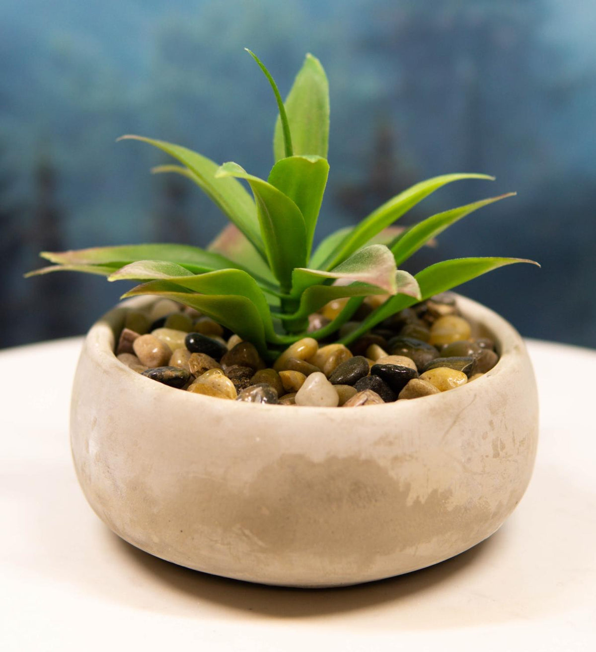 Set of 4 Realistic Artificial Botanica Plants Succulents in Cement Pot 7"Dia