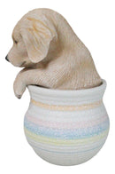 Realistic Golden Retriever Puppy Dog Figurine With Glass Eyes Pup In Pot