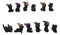 Set of 12 Halloween Black Cats With Witch Hats Mini Figurines In Multi Poses