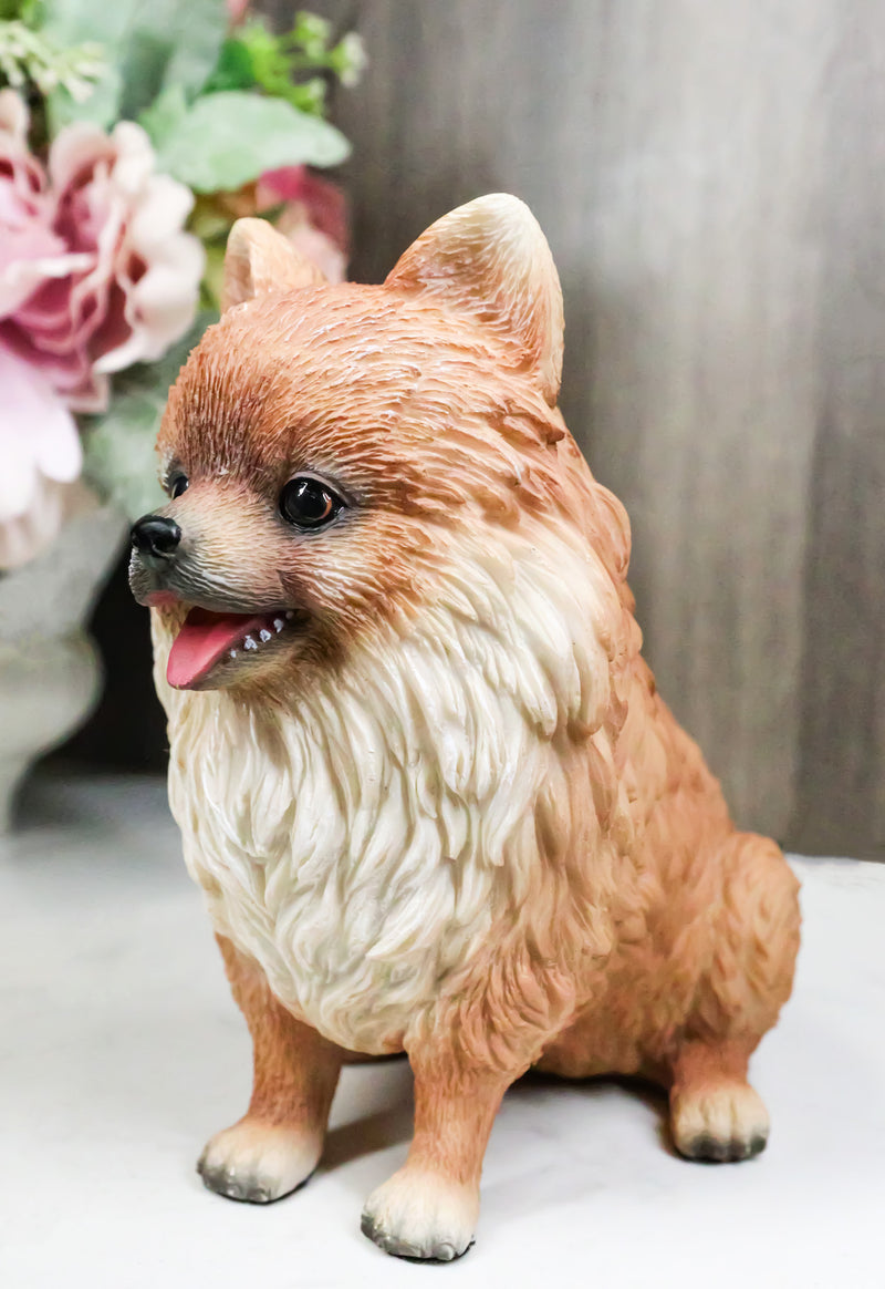 Lifelike Adorable Pet Pal Sitting Pomeranian Spitz Puppy Dog Figurine 6"H