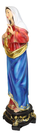 Catholic Church Sacred Heart of Mary Statue Devotion of Virgin Madonna 17"H
