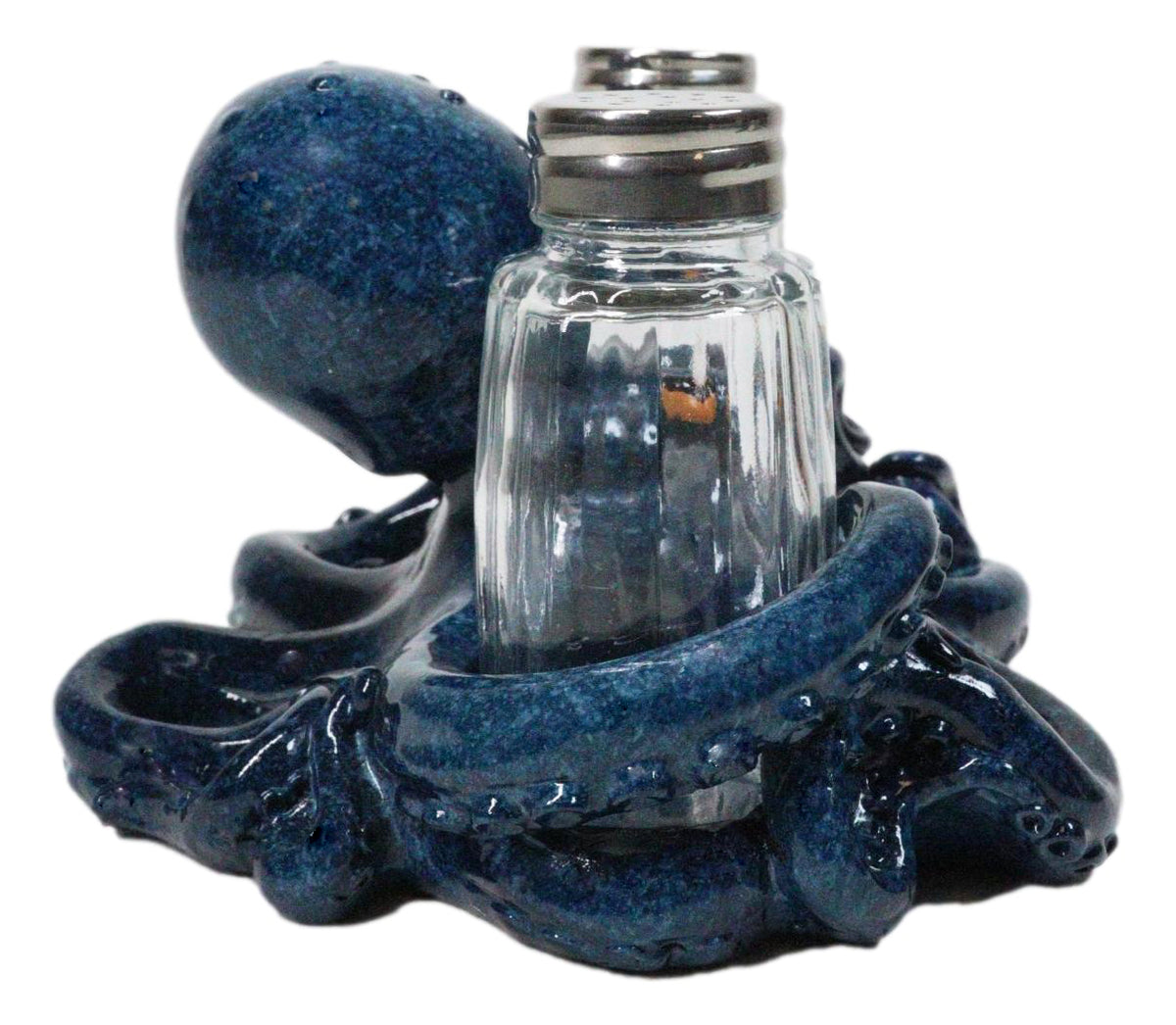 Blue Spotted Nautical Marine Cephalopod Octopus Salt Pepper Shakers Holder Set