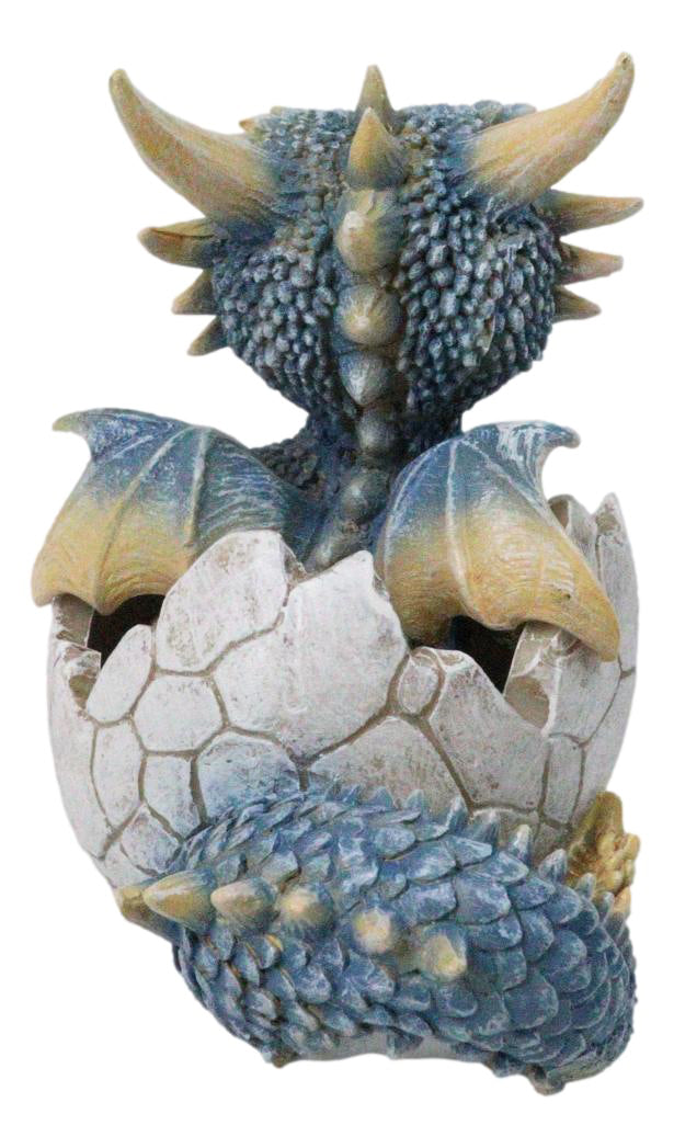 Ebros Pastel Blue Dragon Hatchling in Cracked Egg Fantasy Figurine, 4.5"