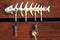 Brass Metal Golden Fishbone Fish Bone Marine Coastal 4 Peg Wall Hooks Plaque