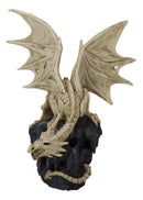 Gothic Exo Skeleton Dragon On Rock Cavern With Colorful LED Light Figurine