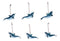 Set Of 6 Nautical Blue Dolphins Ocean Marine Wall Hanging Decor Tree Ornaments