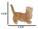 Realistic Curious Feline Orange Tabby Munchkin Cat Kitten Mini Figurine