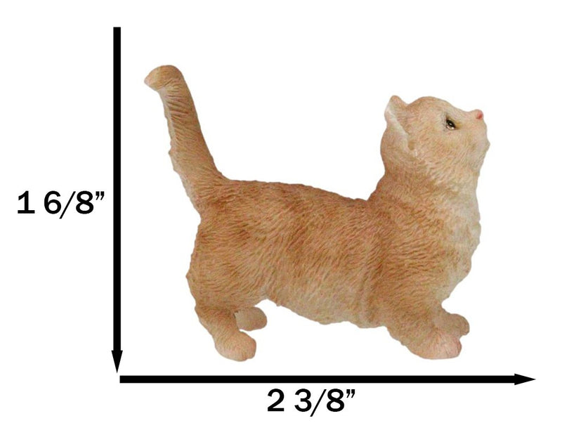 Realistic Curious Feline Orange Tabby Munchkin Cat Kitten Mini Figurine