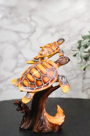 Ocean Marine Sea Turtle Mother and Hatchling Figurine Faux Wood Carved Look