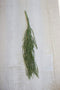 Pack of 6 Realistic Lifelike Artificial Soft Draping Leafy Stem Botanicas 26"L
