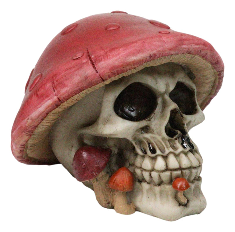 Red Macabre Toadstool Mushroom Cap Skull With Mini Fungi Figurine 5" L