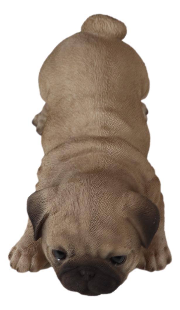 Realistic Lifelike Adorable Fawn Pug Puppy Dog Crouching Playfully Fig ...