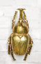 Medium Gold Resin Rhinoceros Elephant Beetle Wall Decor Or Tabletop Figurine