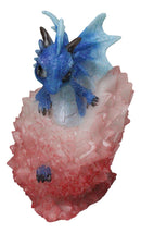 Whimsical Cute Blue Baby Dragon Hatchling in Crystal Icicle Red Egg Figurine
