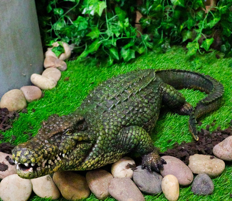 Ebros 21" Long Realistic Alligator Crocodile Statue Home and Garden Figurine - Ebros Gift
