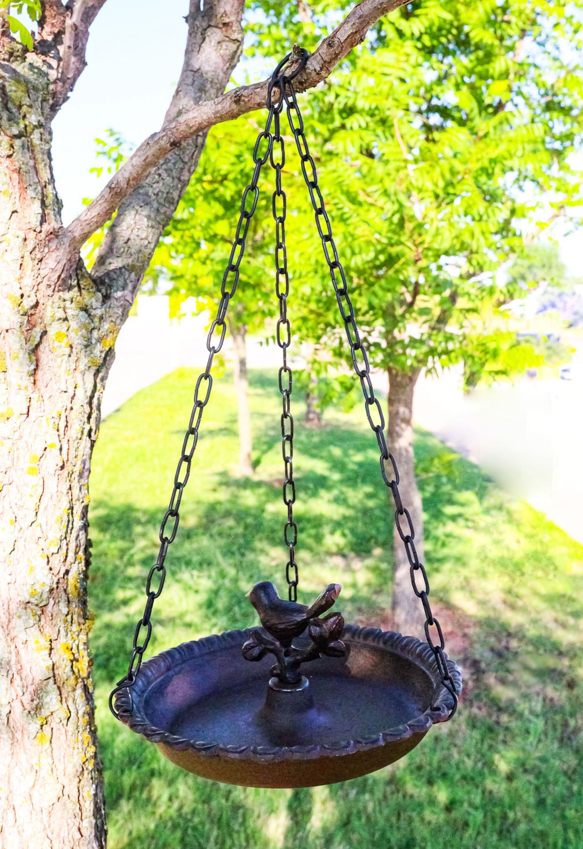 Cast Iron Love Bird On Branch Sunflower Basin Hanging Garden Bird Bath Feeder