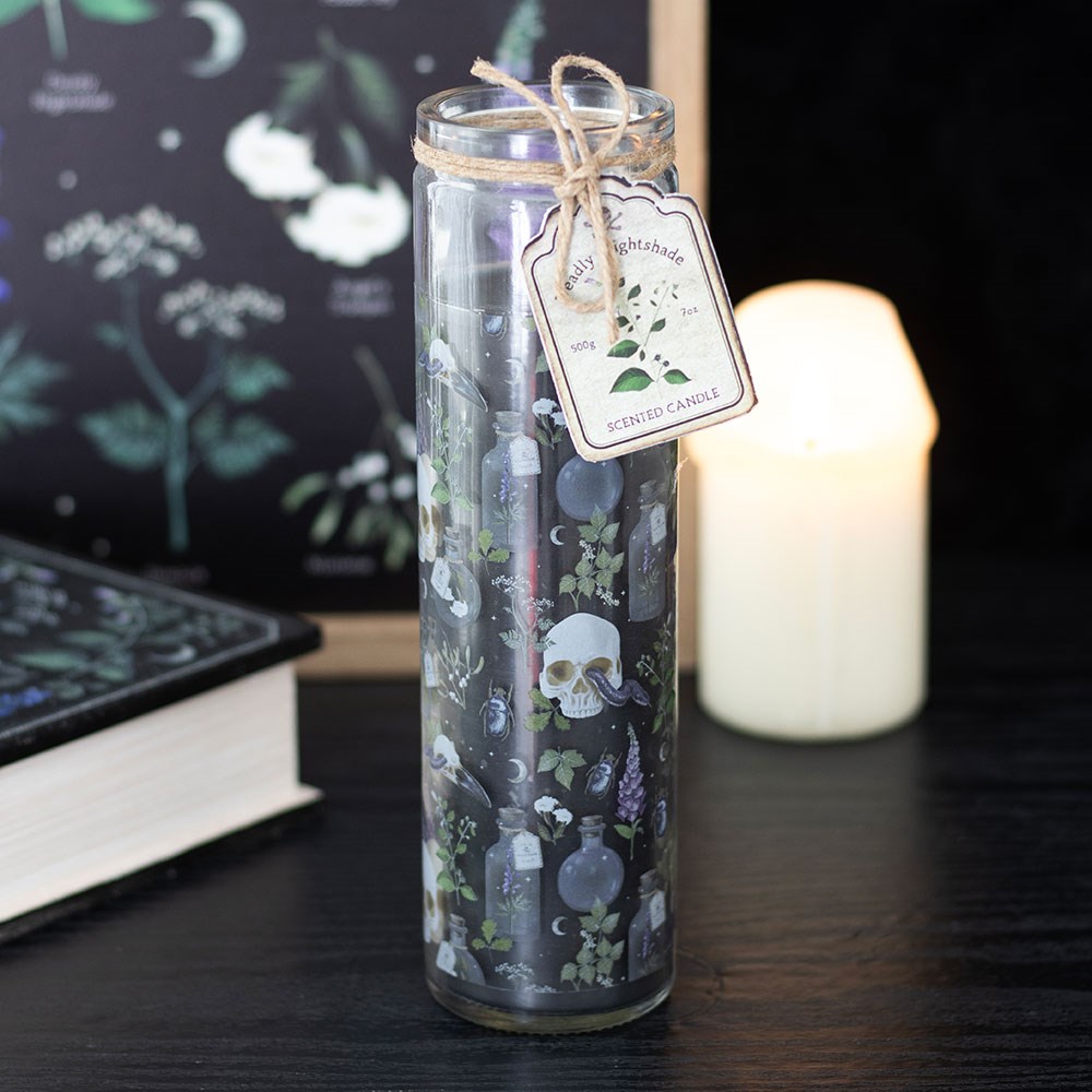 Pack of 2 Skulls and Poisonous Plants Scented Tube Candles in Glass Jars 8"H