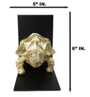 Nautical Marine Turtle Tortoise with Spiked Shell Bookends Sculpture Set 6"H