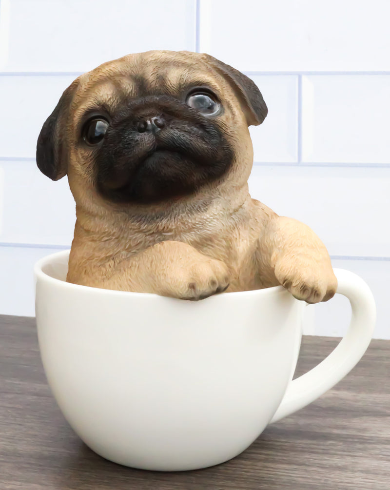 Realistic Adorable Pug Dog Teacup Statue 5.5" Tall Pet Pal Puppy Pugs Figurine