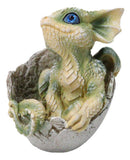 Adorable Green Baby Dragon Hatchling Cracking Out of Egg Shell Figurine 4"H