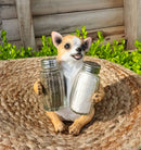 Cute Chihuahua Dog Salt and Pepper Glass Shakers Holder Kitchen Figurine