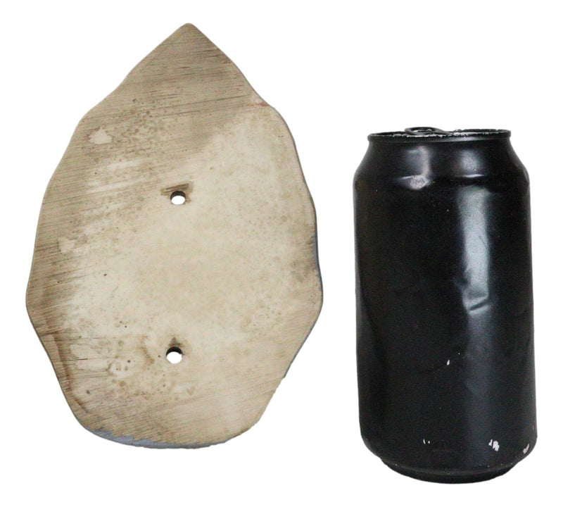 Set Of 2 Nautical Sea Great White Shark Jaws Wall Soda Beer Bottle Cap Openers
