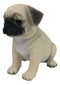 Realistic Lifelike Adorable Sitting Pug Dog Puppy Home Decor Figurine Pet Pal