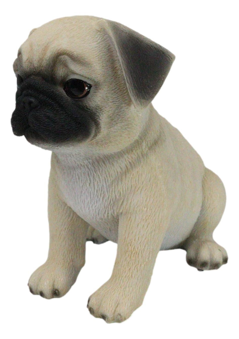 Realistic Lifelike Adorable Sitting Pug Dog Puppy Home Decor Figurine Pet Pal
