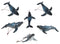 Set Of 6 Nautical Blue Humpback Whales Ocean Marine Wall Decor Tree Ornaments