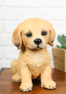 Realistic Sitting Adorable Labrador Puppy Figurine 5.75"H Pet Pal Collectible