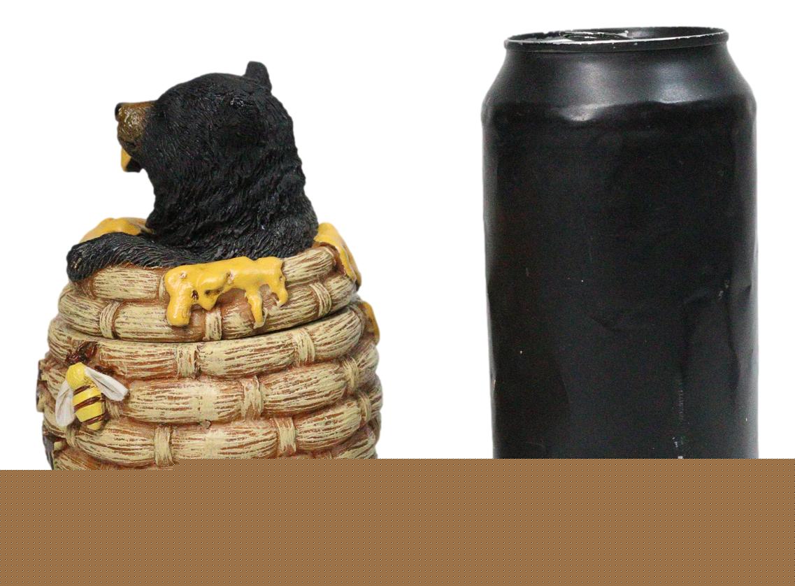 Western Forest Black Honey Pot Bear Life is Sweet Decorative Trinket Jewelry Box