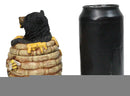 Western Forest Black Honey Pot Bear Life is Sweet Decorative Trinket Jewelry Box
