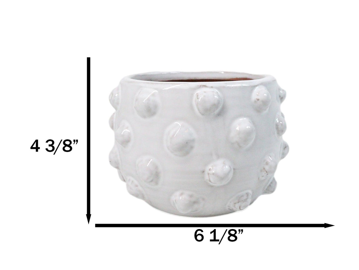Nautical Ocean Marine White Sea Urchin Ribbed Design Terracotta Planter Pot