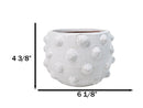 Nautical Ocean Marine White Sea Urchin Ribbed Design Terracotta Planter Pot
