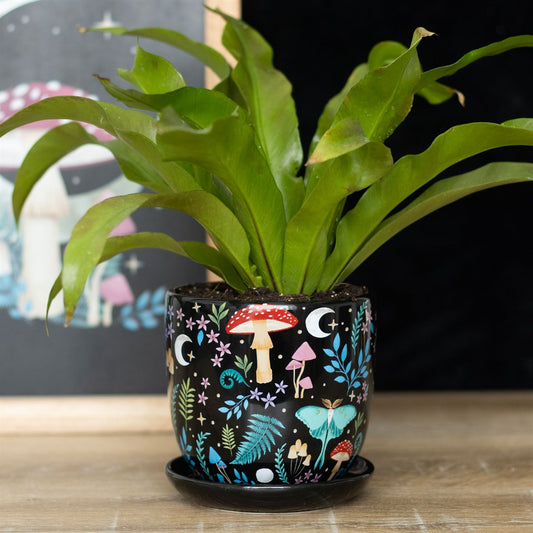 Wicca Witchcraft Magic Dark Forest Mushroom Ceramic Planter Pot With Saucer Set