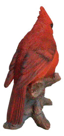 Wildlife Nature 2 Northern Red Cardinal Birds Perching On Branch Figurine