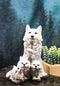 Winter Snow White Wolf Mother Sitting with 3 Adorable Cubs Family Figurine Decor