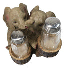 Elephant Couple with Intertwined Trunks Glass Salt and Pepper Shakers Holder