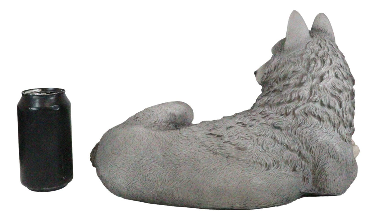 Resting Wise Gray Lone Wolf Figurine Timberwolves Pack Decorative Decor Statue - Ebros Gift