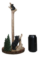 Woodland Black Bear Cubs Climbing On Tree In Pine Forest Paper Towel Holder