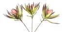 Set of 6 Realistic Artificial Botanica Faux Plants Thistle Fern Grass Leaf Stems