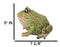 Amphibian Wildlife Realistic Green Bullfrog Frog In Stoic Posture Figurine 7"L