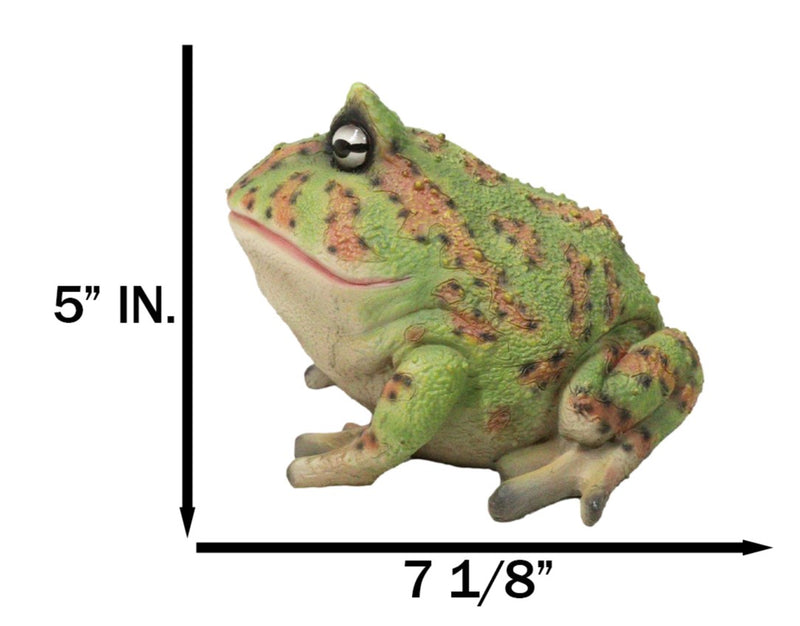 Amphibian Wildlife Realistic Green Bullfrog Frog In Stoic Posture Figurine 7"L