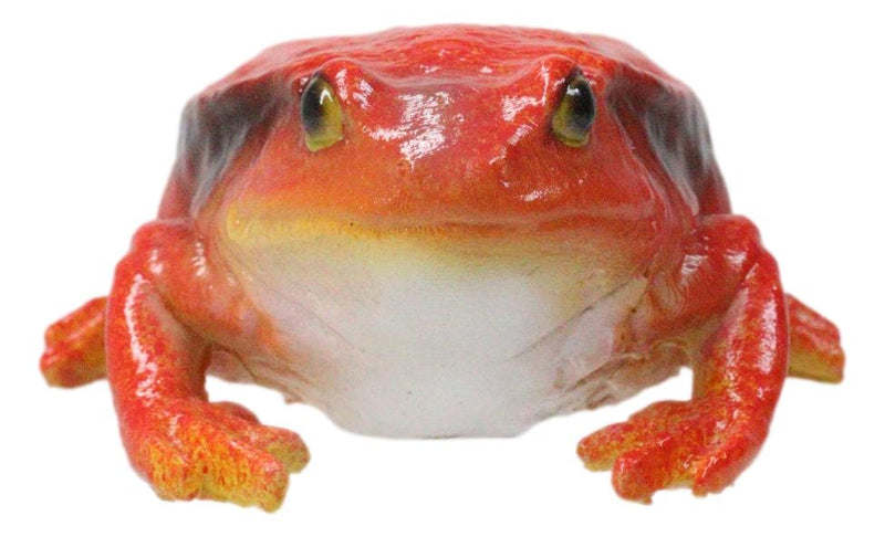 Amphibian Wild Creatures Realistic Northern Red Legged Frog Decorative Figurine