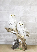 12-Inch Snowy Winter Spotted Owl Couple Figurine on Snow-Covered Tree Branch