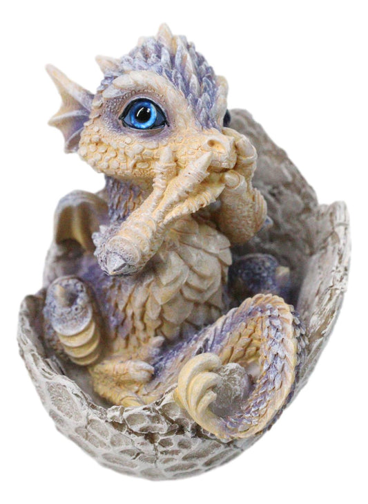 Adorable Blue Baby Dragon Hatchling Cracking Out of Egg Shell Figurine 4"H