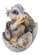 Adorable Blue Baby Dragon Hatchling Cracking Out of Egg Shell Figurine 4"H